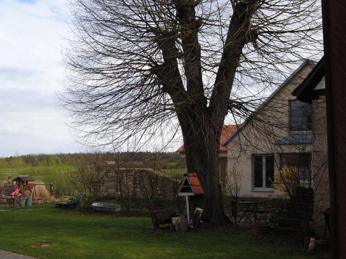 Ferienhaus Lindenhof Nohra  Eksteriør billede